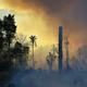 Smoke rises from an illegally lit fire in a section of Amazon rainforest, south of Novo Progresso in Para state, Brazil, on August 15, 2020.